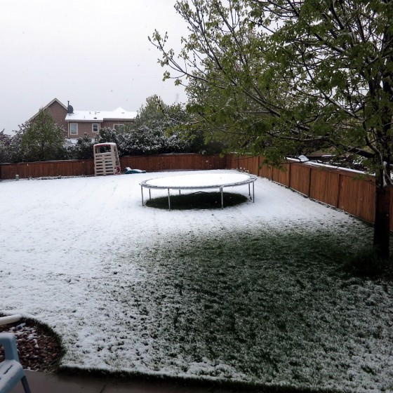 may-snow