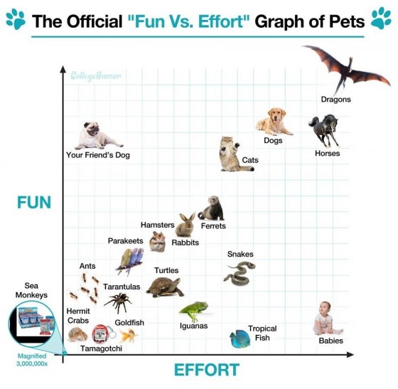 fun-vs-effort