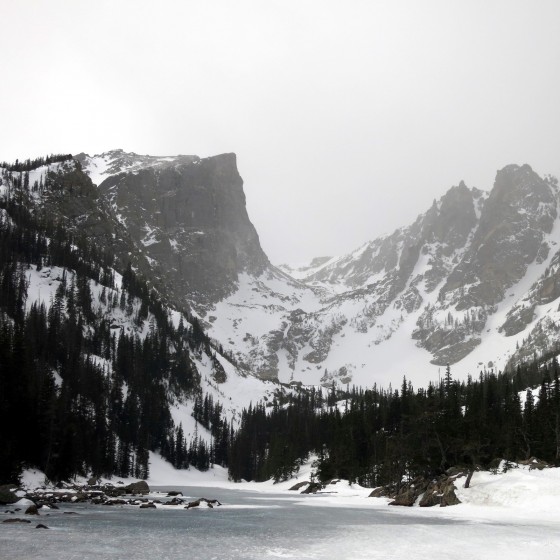 rmnp-01