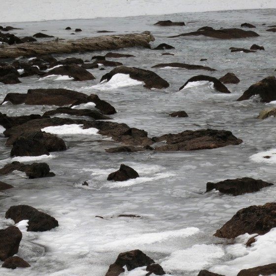 rmnp-02