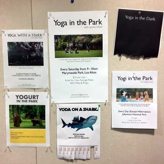 yoga-in-the-park